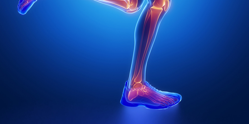 Biomechanical x-ray visualisation of a running leg